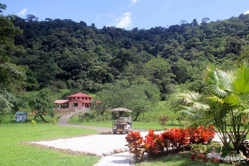 Mei Tai Cacao Lodge ビハグア エクステリア 写真