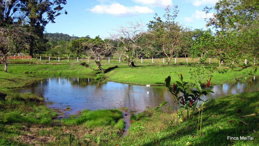 Mei Tai Cacao Lodge ビハグア エクステリア 写真