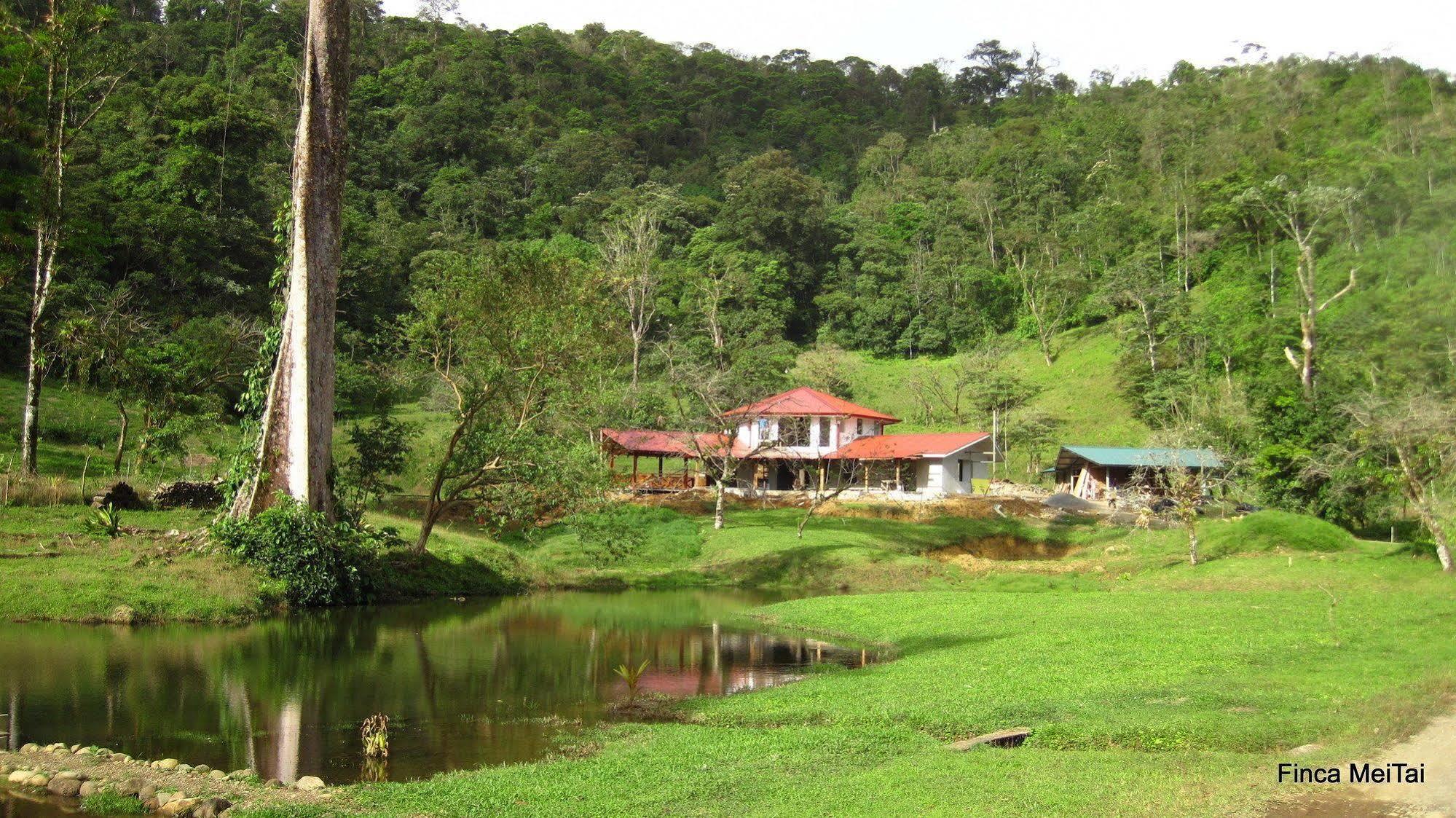 Mei Tai Cacao Lodge ビハグア エクステリア 写真